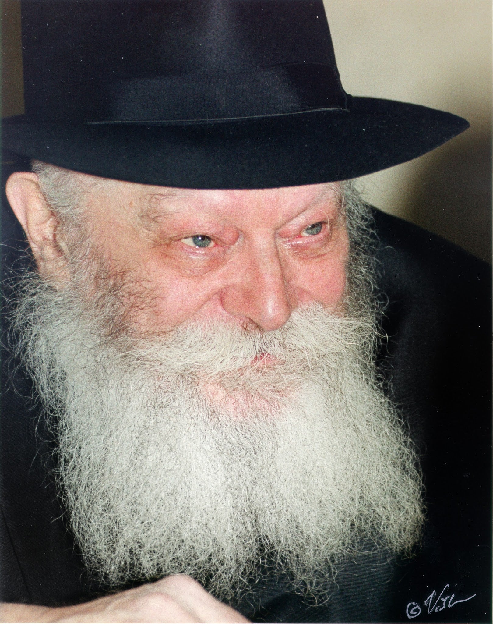 הרבי עם ארבעת המינים